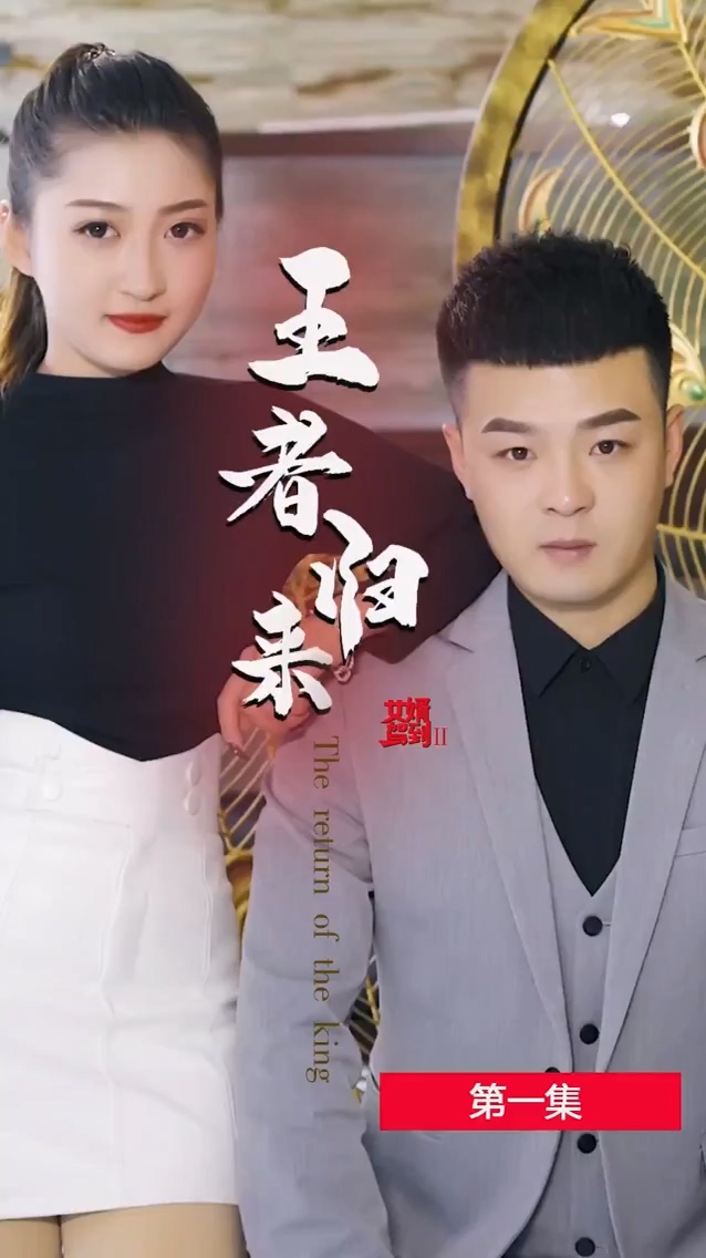 女婿駕到2王者歸來第21集
