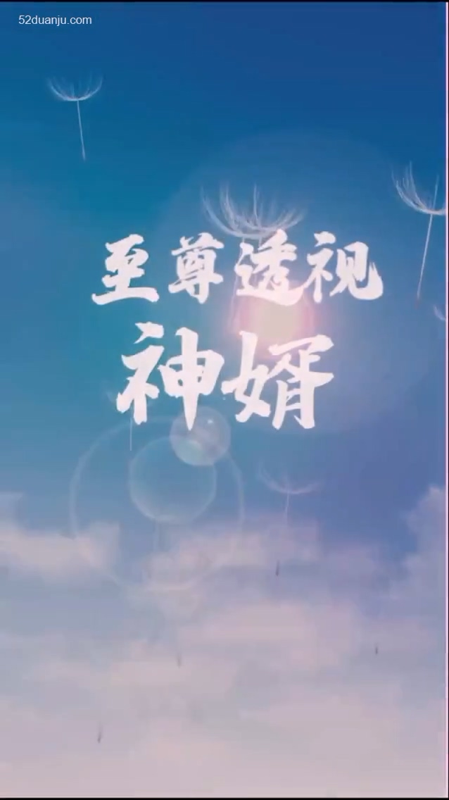 至尊透視神婿合集版(全集)