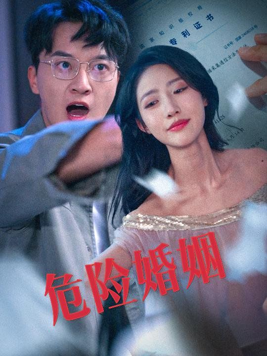 危險婚姻第1-30集