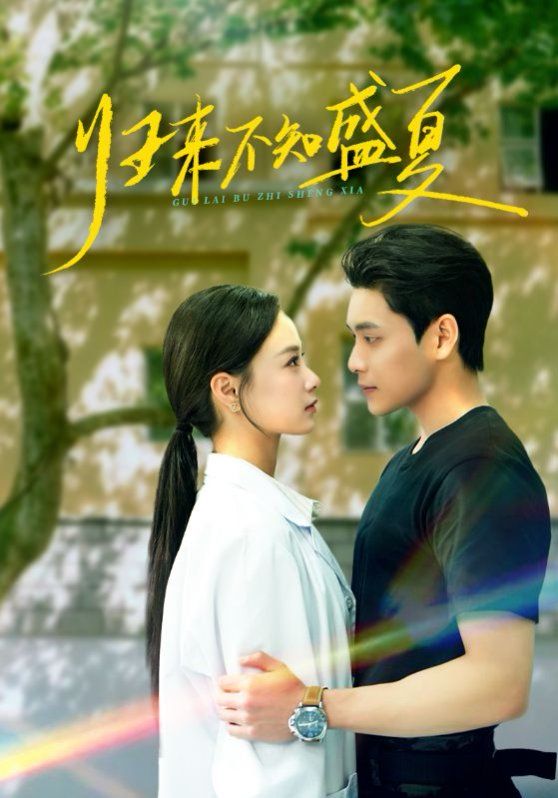歸來不知盛夏(全集)