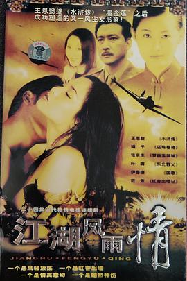 江湖風(fēng)雨情第19集