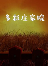 多彩莊家院第2集