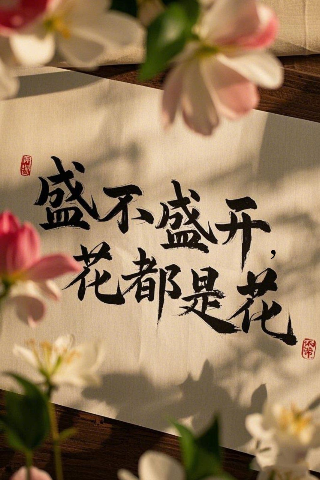 盛不盛開(kāi)，花都是花(全集)