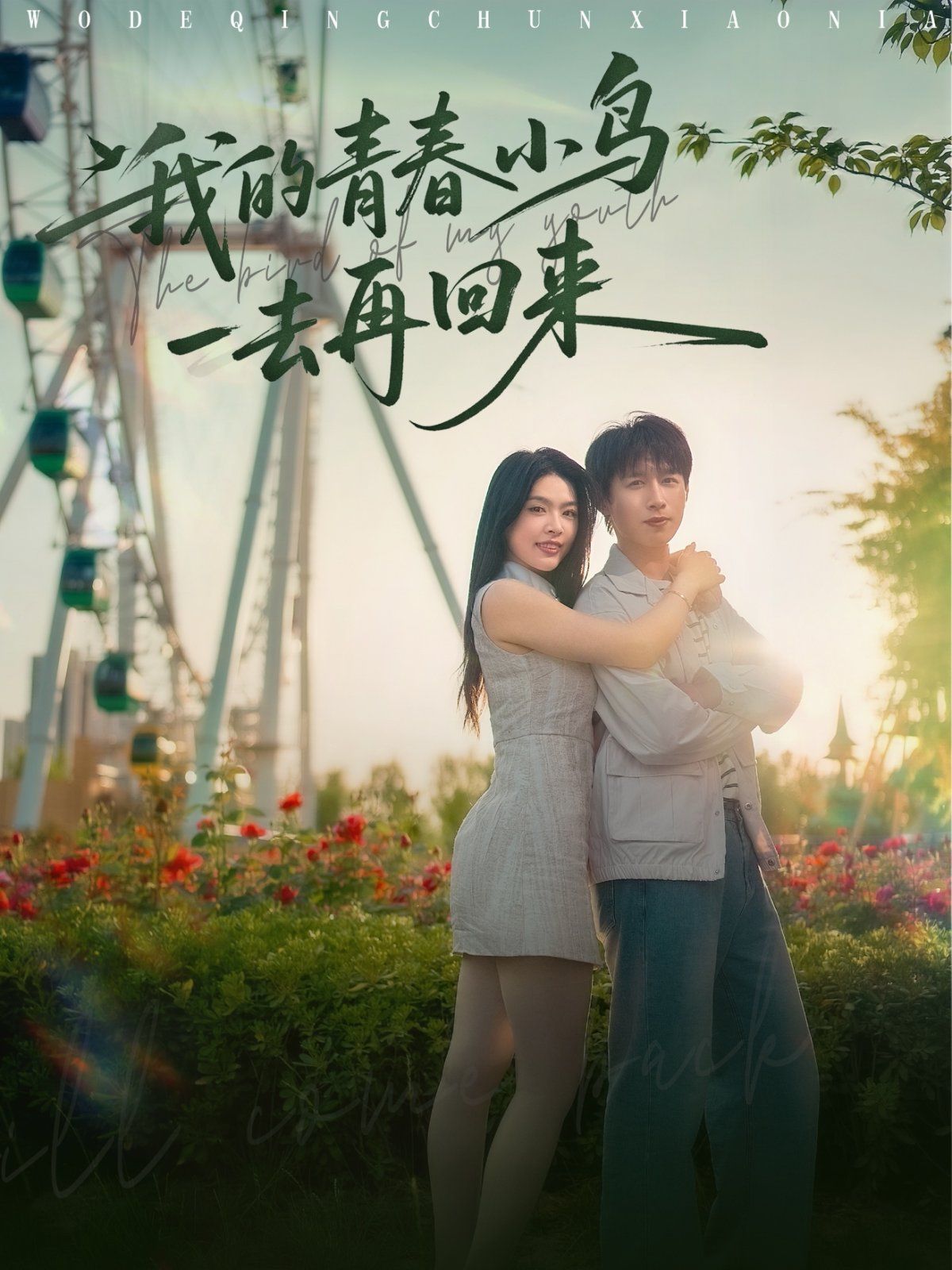 我的青春小鳥(niǎo)一去再回來(lái)(全集)