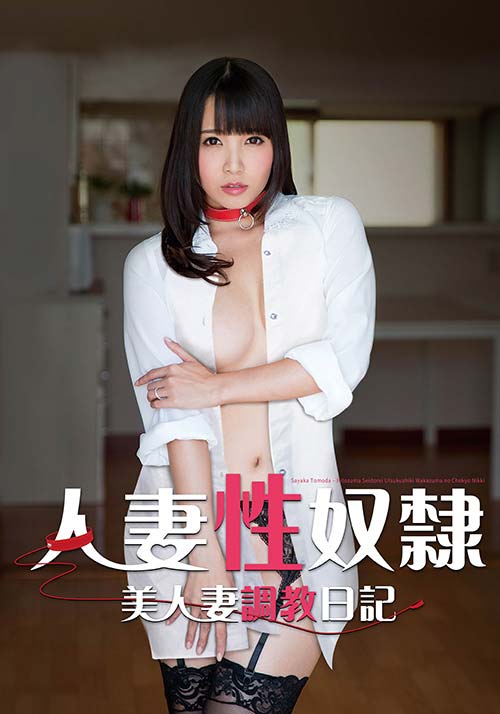人妻性奴隸～美人妻調(diào)教日記～